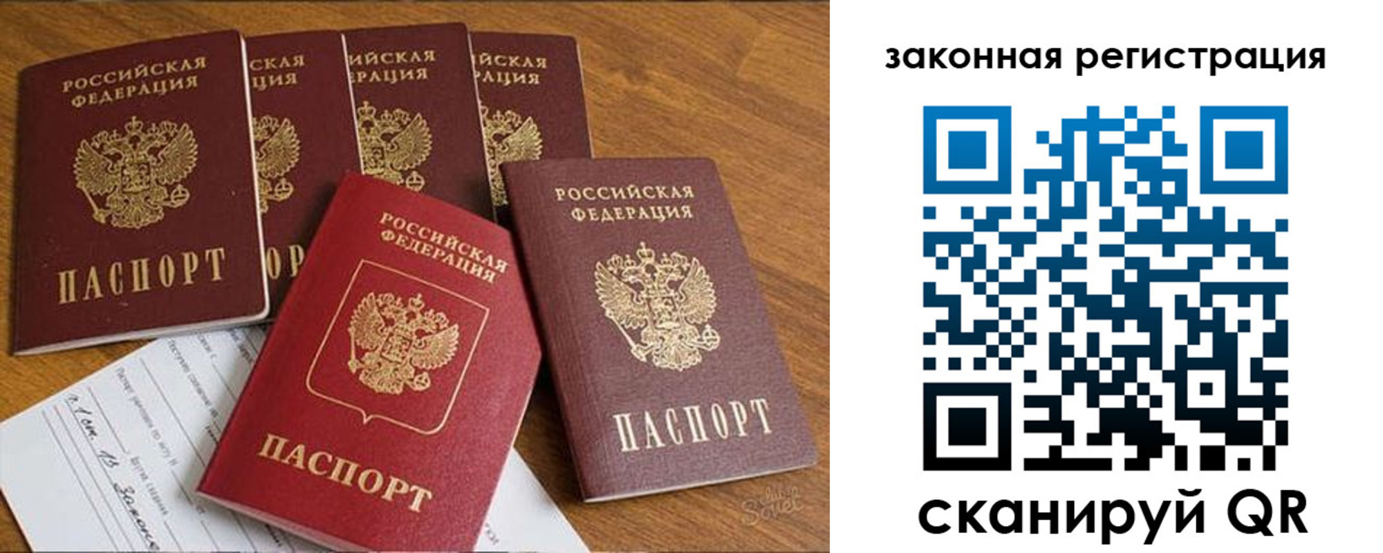 прописка в Бабаево